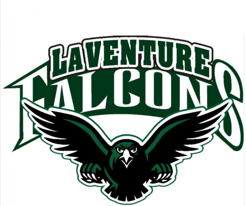 Image of Falcon Logo